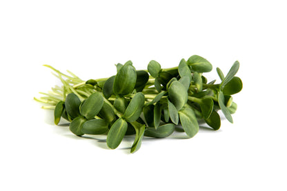 Mumm's Sprouting Seeds Sunflower - 150 Grams