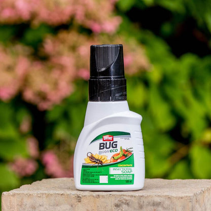 Scotts Ortho Bug B Gon ECO Insecticidal Soap Concentrated - 500 ML