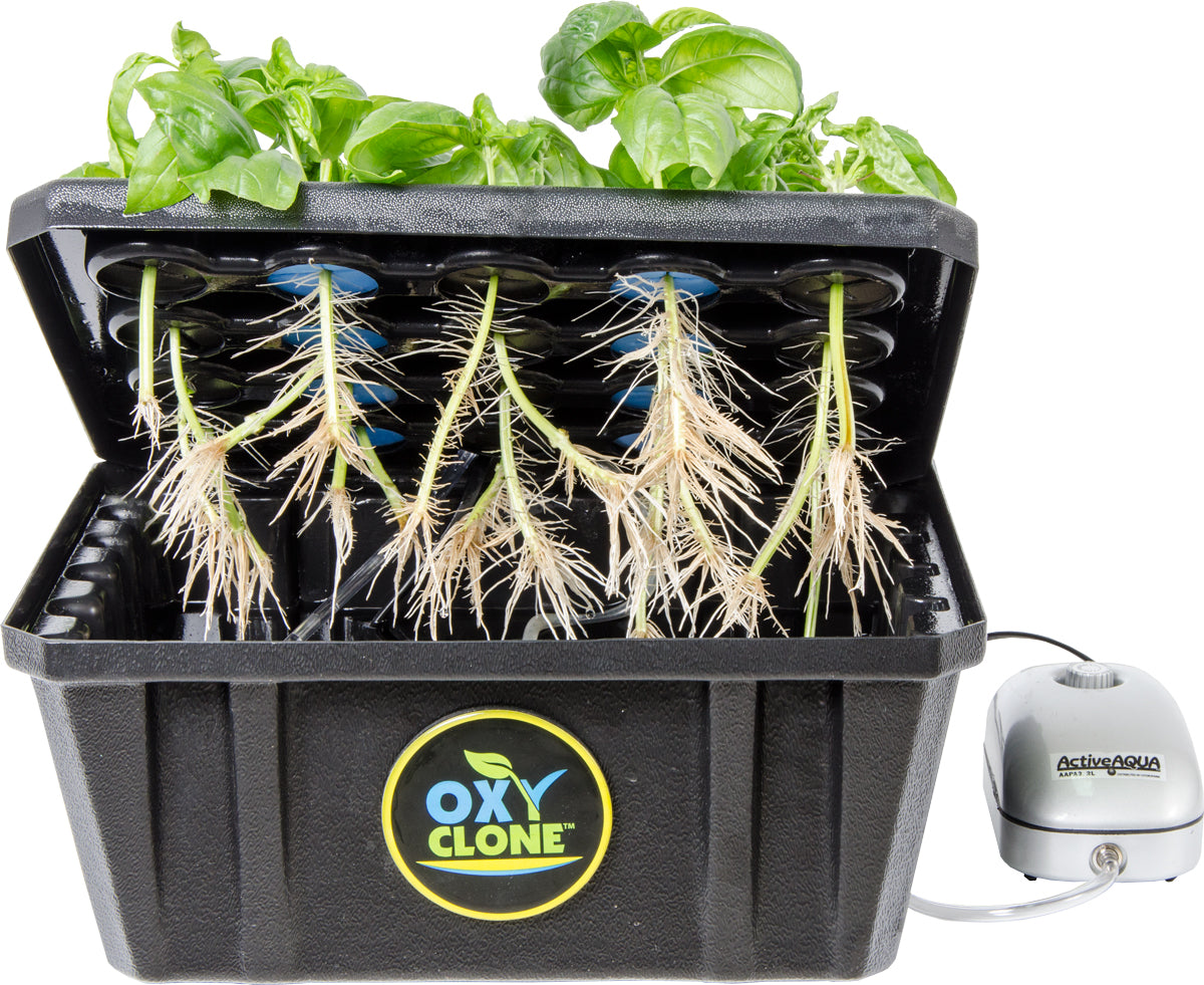 OxyClone Cloning System