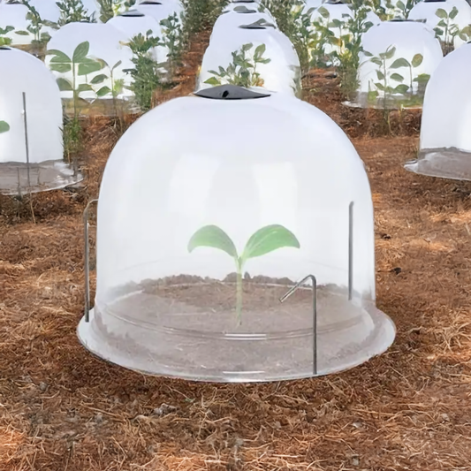 Plant Cover Dome - 12.2 x 13 Inch