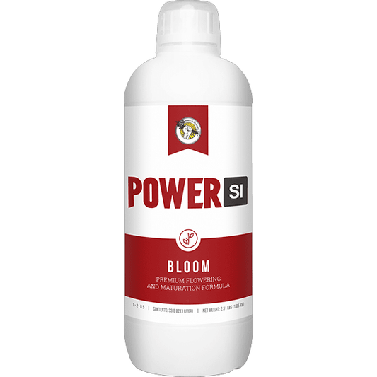 Power Si Bloom