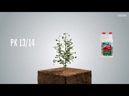 Canna PK 13/14 - 250 ML