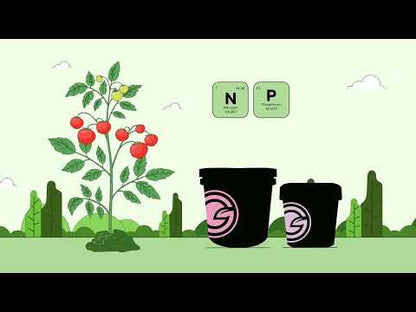 Green Planet Nutrients Back Country Blend Grow - 1 KG