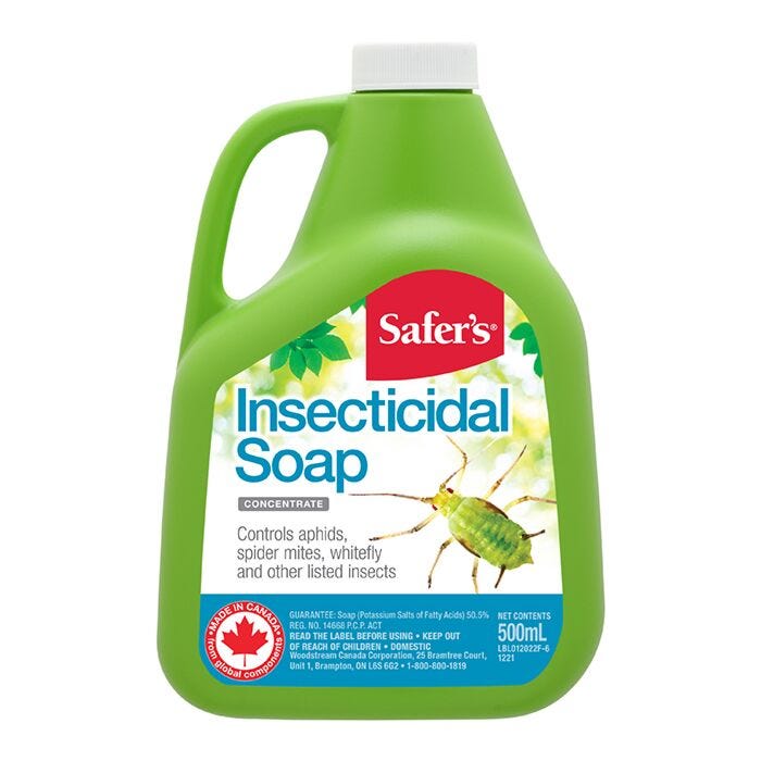 Savon insecticide concentré Safer's - 500 ml – Provision Gardens