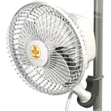 Secret Jardin Monkey Fan - 10 Inch