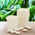 Square Nursery Pots 2.75 Inch - White