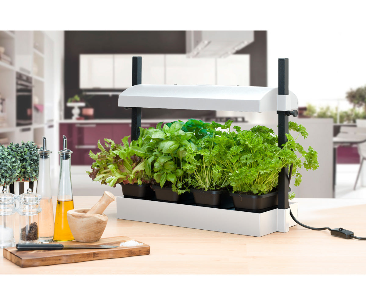 SunBlaster Micro Grow Light Garden - White T5HO