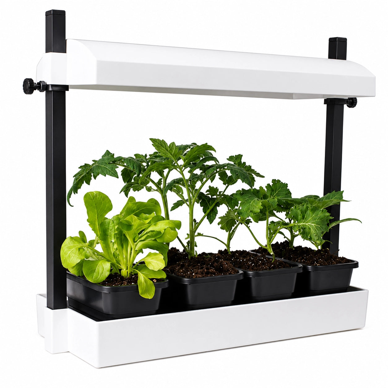 SunBlaster Micro Grow Light Garden - White T5HO