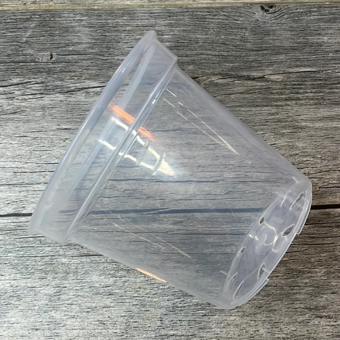 Transparent Nursery Pot - 4 Inch