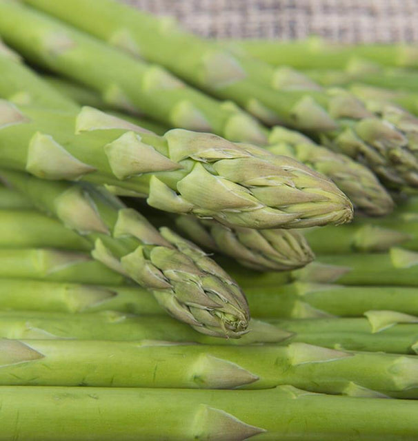 West Coast Seeds Asparagus - UC157 F2
