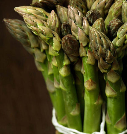 West Coast Seeds Asparagus - UC157 F2