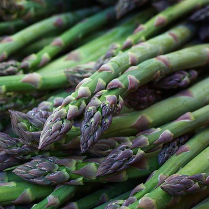 West Coast Seeds Asparagus - UC157 F2