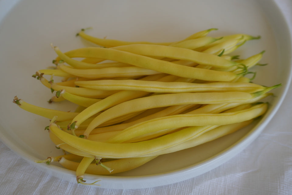 West Coast Seeds Bean - Gold Rush Certified Organic