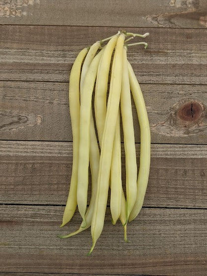 West Coast Seeds Bean - Gold Rush Certified Organic