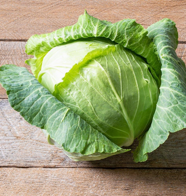 West Coast Seeds Cabbage - Copenhagen Market