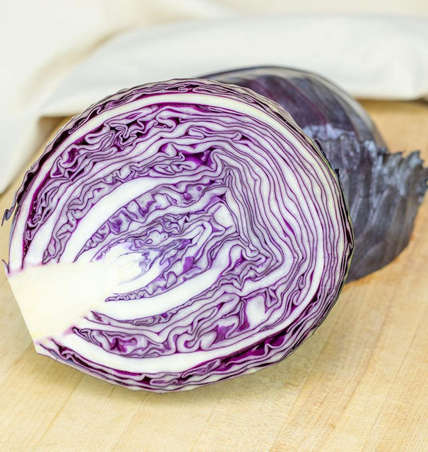 West Coast Seeds Cabbage - Integro Coated Organic