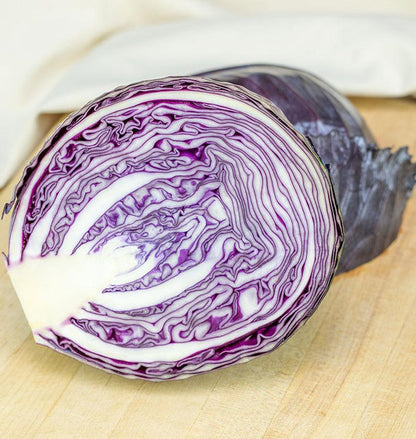 West Coast Seeds Cabbage - Integro Coated Organic