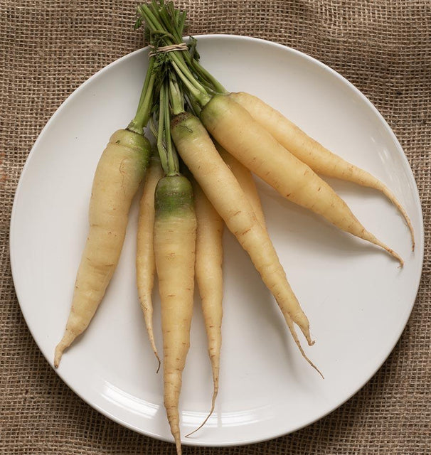 West Coast Seeds Carrots - White Satin F1 (Coated)