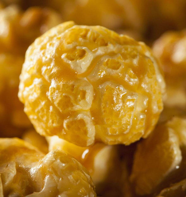 West Coast Seeds Corn - Caramel Crisp Popcorn F1