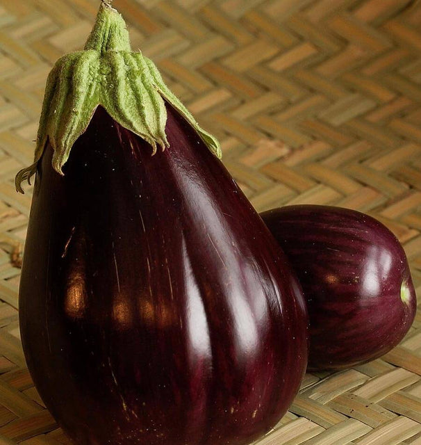 West Coast Seeds Eggplants - Black Beauty Certified Organic