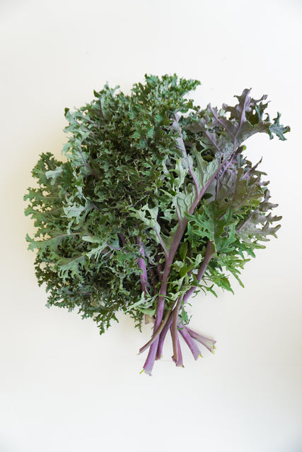 West Coast Seeds Kale - Medusa