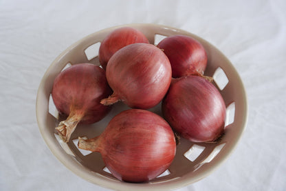 West Coast Seeds Onions - Blush F1